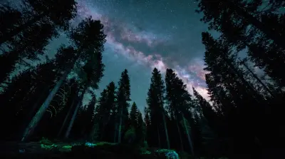 AI: Majestic Milky Way arc visible above a dense pine forest at midnight. 
Looking...