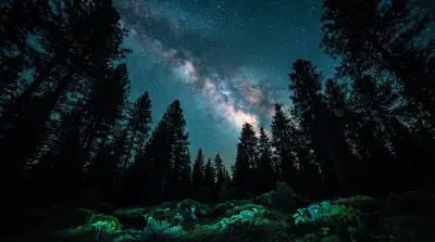AI: Majestic Milky Way arc visible above a dense pine forest at midnight. 
Looking...