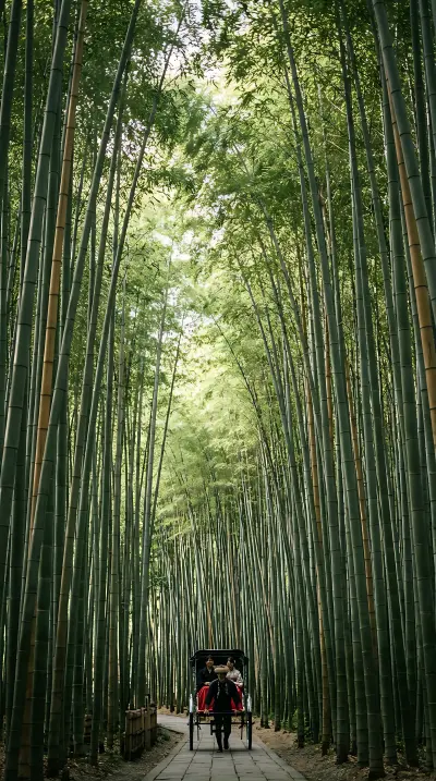 The famous bamboo grove of Arashiyama, Kyoto,